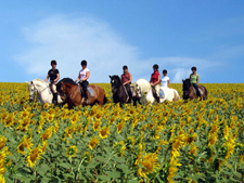 Spain-Southern Spain-Train and Trail - in Southern Spain